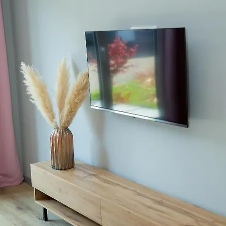 Schoener Wohnen Appartement Friesenheim (Baden-Wurttemberg)